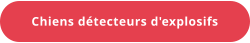 Chiens détecteurs d'explosifs