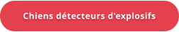 Chiens détecteurs d'explosifs