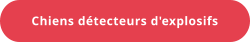 Chiens détecteurs d'explosifs