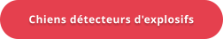 Chiens détecteurs d'explosifs