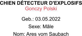 CHIEN DÉTECTEUR D'EXPLOSIFS Gonczy Polski  Geb.: 03.05.2022 Sexe: Mâle Nom: Ares vom Saubach