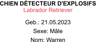 CHIEN DÉTECTEUR D'EXPLOSIFS Labrador Retriever Geb.: 21.05.2023 Sexe: Mâle Nom: Warren