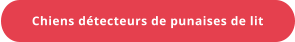Chiens détecteurs de punaises de lit