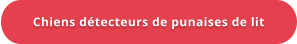 Chiens détecteurs de punaises de lit