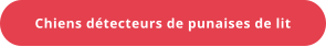Chiens détecteurs de punaises de lit