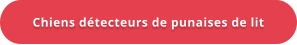 Chiens détecteurs de punaises de lit