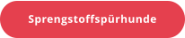 Sprengstoffspürhunde