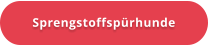 Sprengstoffspürhunde
