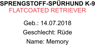 SPRENGSTOFF-SPÜRHUND K-9 FLATCOATED RETRIEVER Geb.: 14.07.2018 Geschlecht: Rüde Name: Memory