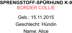 SPRENGSTOFF-SPÜRHUND K-9 BORDER COLLIE Geb.: 15.11.2015 Geschlecht: Hündin Name: Alice