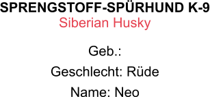 SPRENGSTOFF-SPÜRHUND K-9 Siberian Husky Geb.:  Geschlecht: Rüde Name: Neo