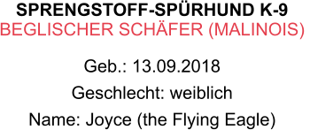 SPRENGSTOFF-SPÜRHUND K-9 BEGLISCHER SCHÄFER (MALINOIS)  Geb.: 13.09.2018 Geschlecht: weiblich Name: Joyce (the Flying Eagle)