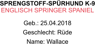 SPRENGSTOFF-SPÜRHUND K-9 ENGLISCH SPRINGER SPANIEL Geb.: 25.04.2018 Geschlecht: Rüde Name: Wallace
