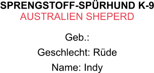 SPRENGSTOFF-SPÜRHUND K-9 AUSTRALIEN SHEPERD Geb.:  Geschlecht: Rüde Name: Indy
